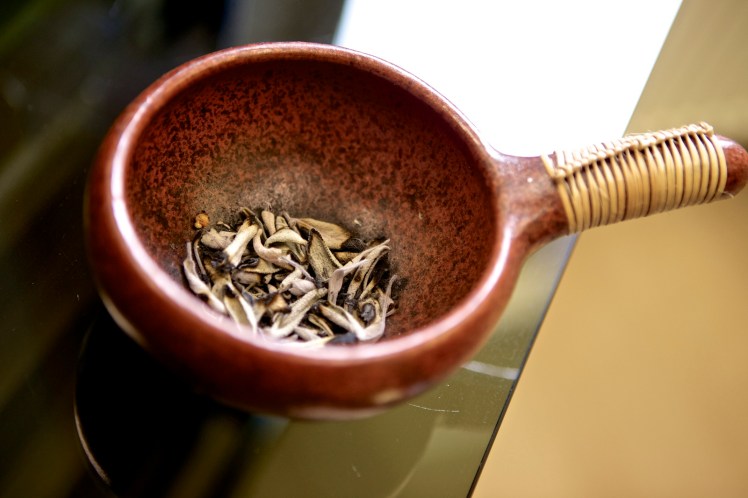 haarnatur-02042016-64